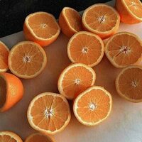 Елизавета Корсун