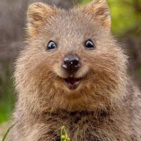 Сироженька Хомякофф