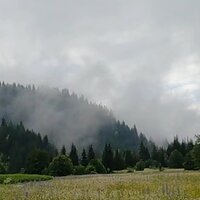 Анастасия Райко