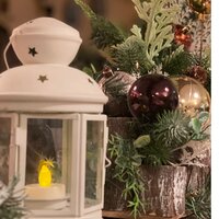 Ксения Токарева