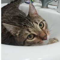 Ирина Киселева