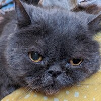 Александра