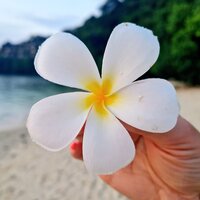 Виктория Поманисточка