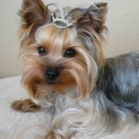 Юлия Демьяненко