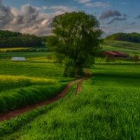 Рустэм Рахманов