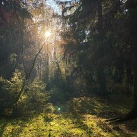 Дамир Закиров