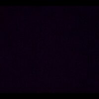 Егор Степанов