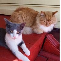 сергей иващенко