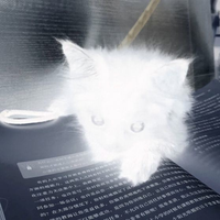 Данила Середкин