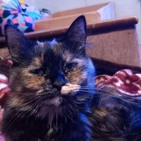 Алла Самсонова