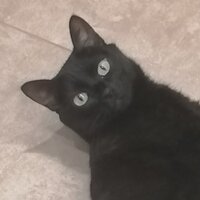 Ирина Мухтургинова