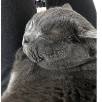 Кристина Д.