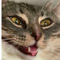 Андрей Асадчиков