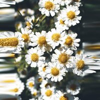 Vovkaaa1953@com Шамсутдинов