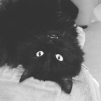 Александр Севостьянов