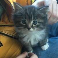 Лариса Жакупова