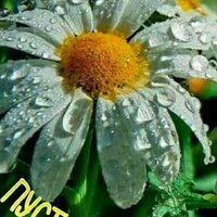 Денис Семенов