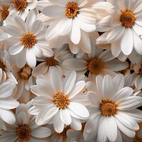 Анастасия Валерьевна Лях