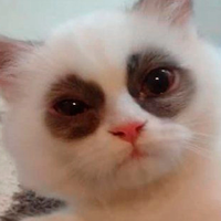 Анастасия Е.