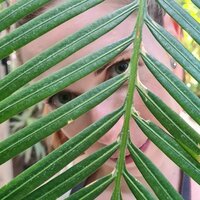 Валентина Н.