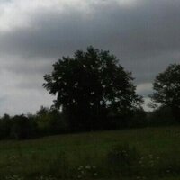 Никита Логинов