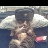 рамиль арсланов