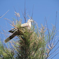 Анатолий М.