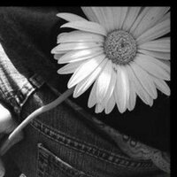 Полякова А.Н.