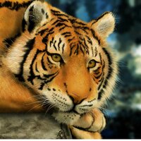 Оксана Озтюрк