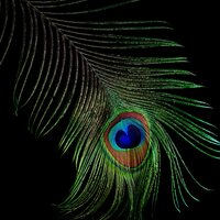 Алёна Прокудина