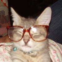 Ира Васильева