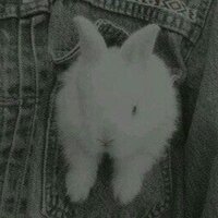 Женя Майорова