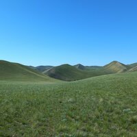 Дмитрий Бреус