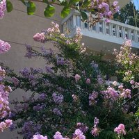 Ульяна Ерошенко