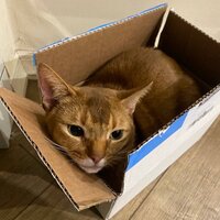 Ильюхин Егор