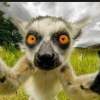 Елена Кузнецова