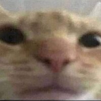 Софья Сугоняева