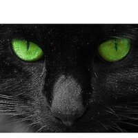 Иванов Алексей