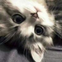 Вероника Октьброва