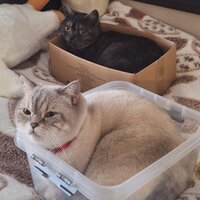 Татьяна Зиновьева