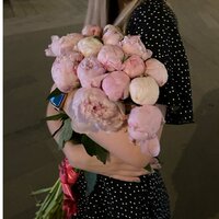 Кристина К.