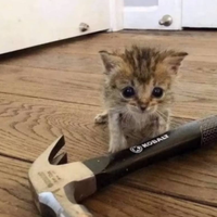 Григорий Балицкий