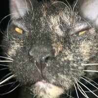 Юшкина Ангелина