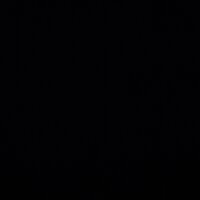 Вячеслав Адамович