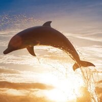 Дмитрий Иванов