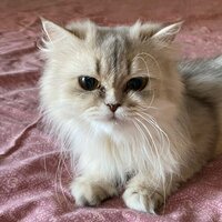 Татьяна Скворцова