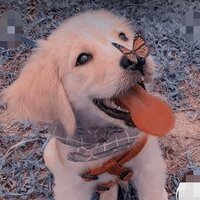 Анастасия Параничева