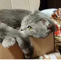 Сергей Ж.