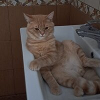 Карамелька