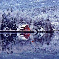 Дмитрий Алексеев